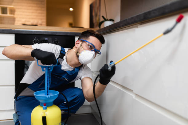 Best Ant Control Services  in , NM