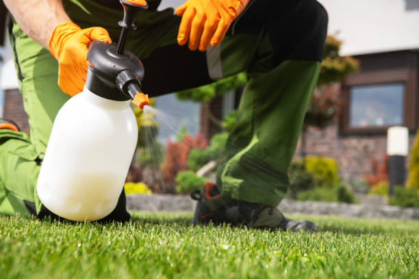 Best Exterminator Services  in , NM