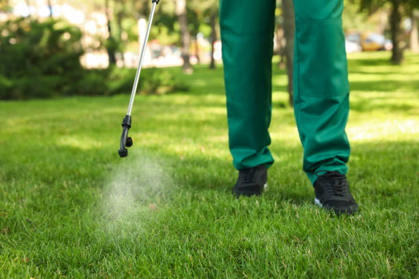 Best Termite Control Services  in , NM