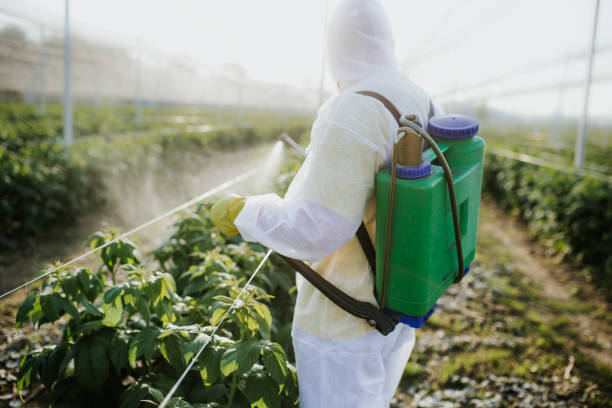 Best Affordable Pest Control Services  in , NM